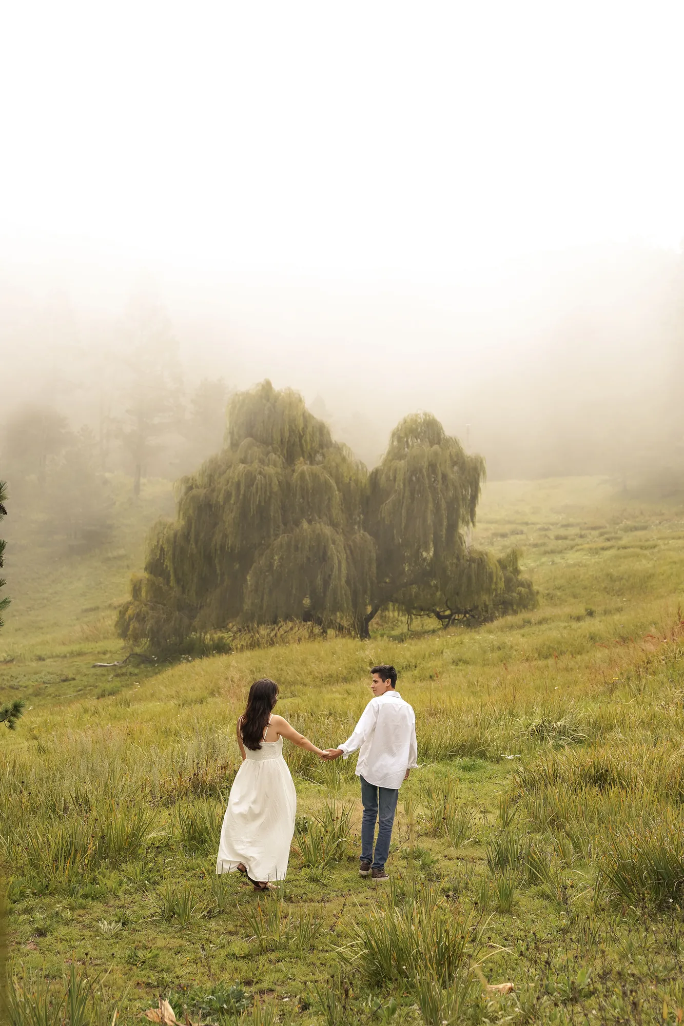 Sofía and Arturo holding hands in a misty meadow beside a willow tree